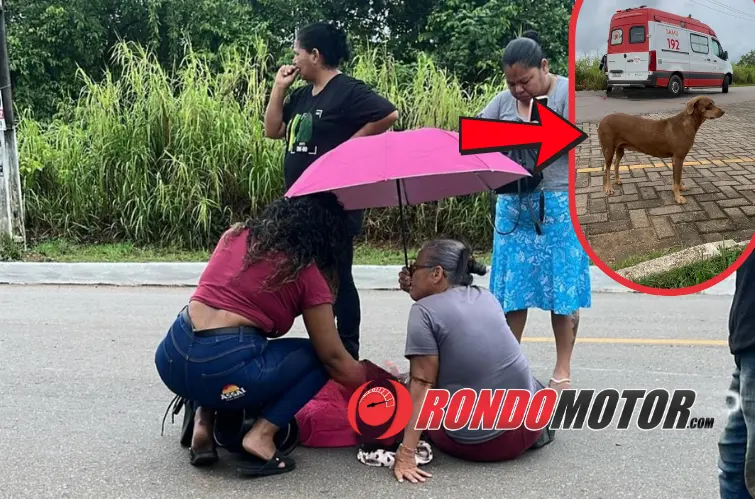 Motociclista cai após cachorro atravessar via no Triângulo em Porto Velho