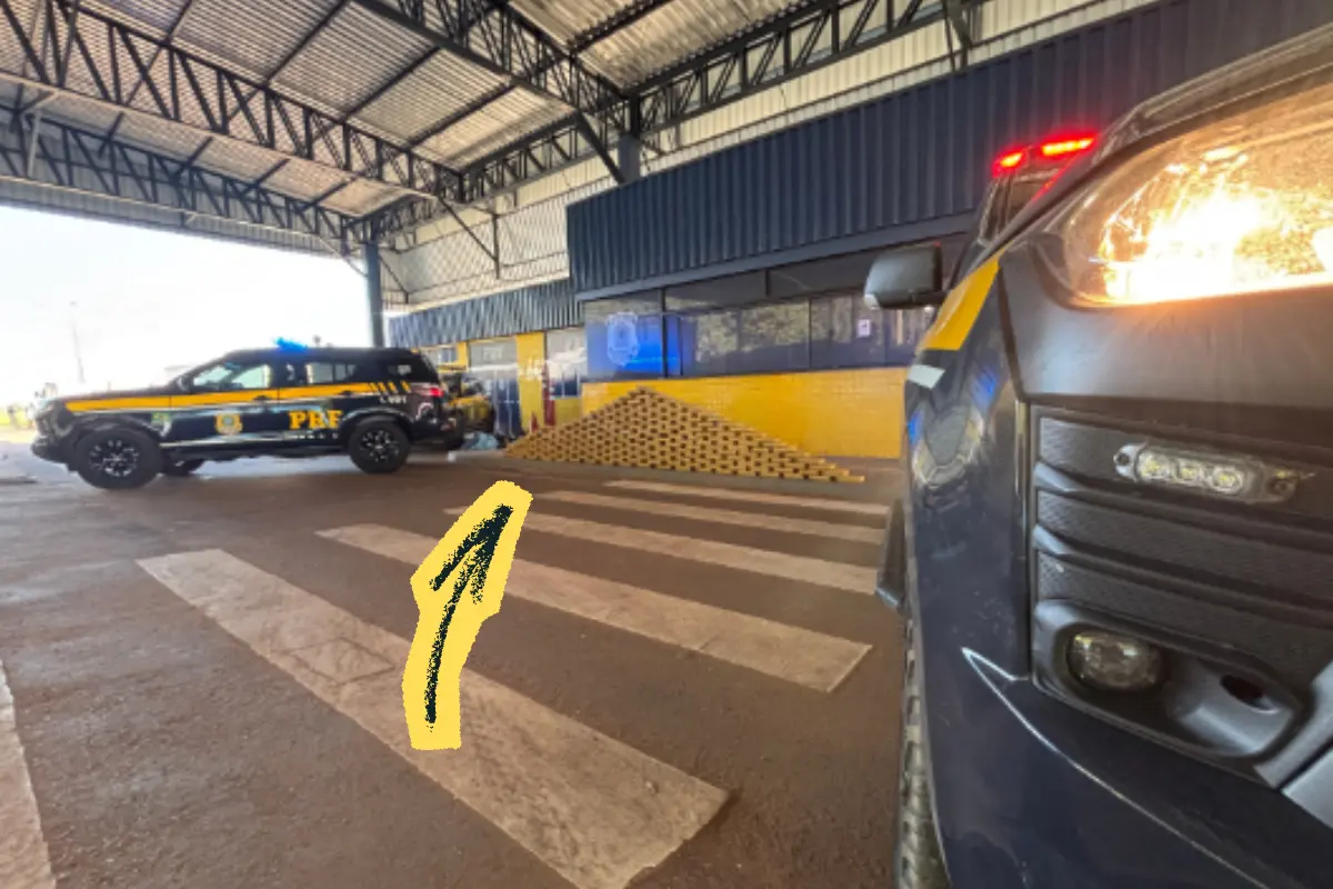 Motorista de carreta é preso com mais de 206 quilos de skunk na BR-364