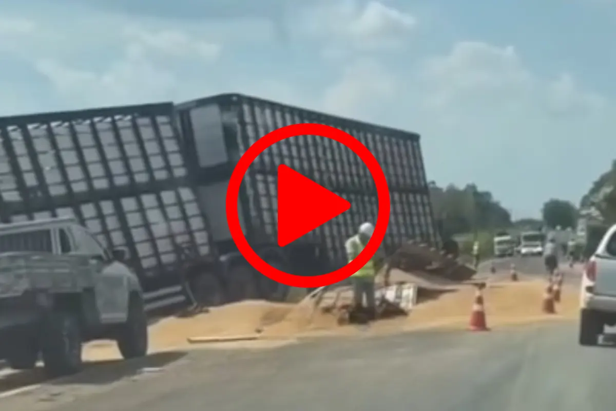 Carreta carregada de gado bate em outra com soja na BR-364