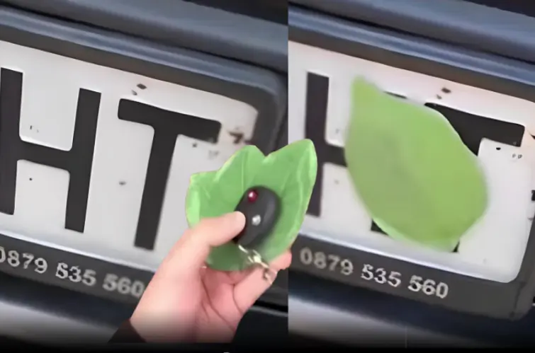 Uso de ímã “anti-radar” que oculta placas preocupa autoridades de trânsito