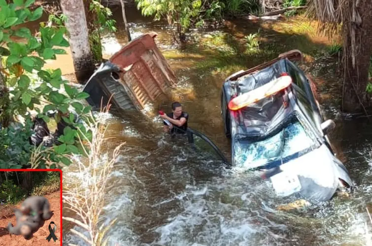 Subtenente da PM morre em acidente com viatura da Força Nacional na Transamazônica